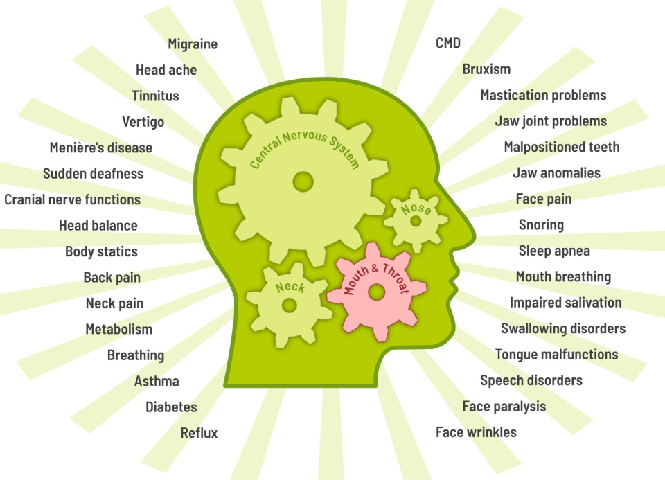 Craniocervical Dysfunctions Syndrom