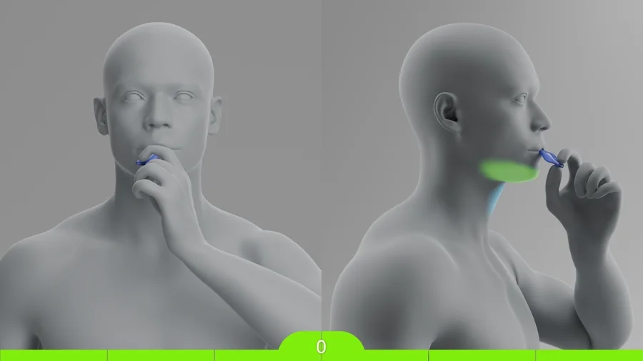 Dragövning i 3D-modellen: grönmarkerat är munbotten, som arbetar med vid sväljning.
